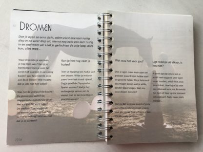 Equi-Agenda 2019 - Afbeelding 13
