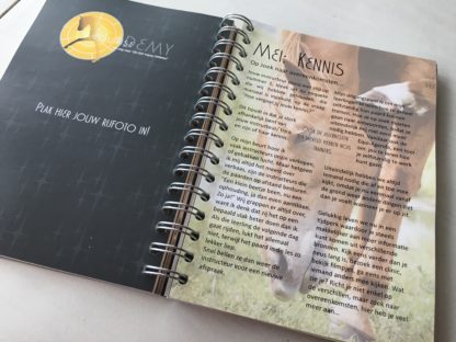 Equi-Agenda 2019 - Afbeelding 10